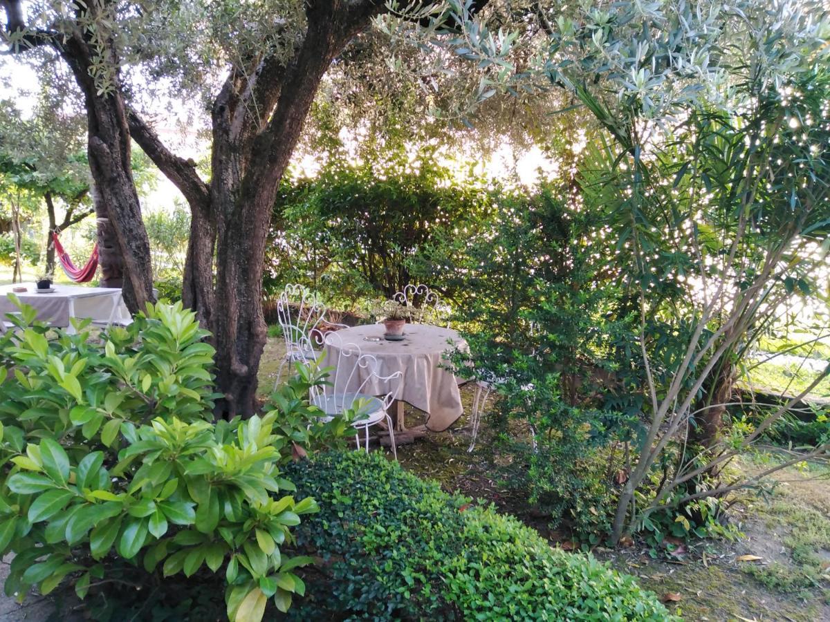 Casa Irene Bed and Breakfast Torri di Quartesolo Exteriör bild
